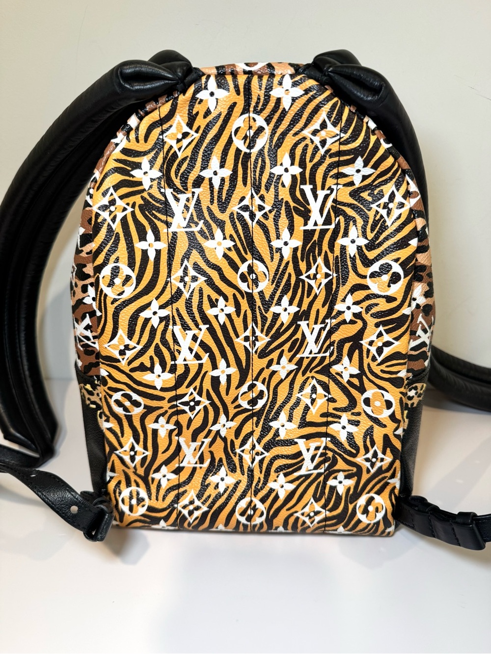 Louis Vuitton Jungle Monogram Giant Palm Springs PM Backpack - Picture 2 of 16